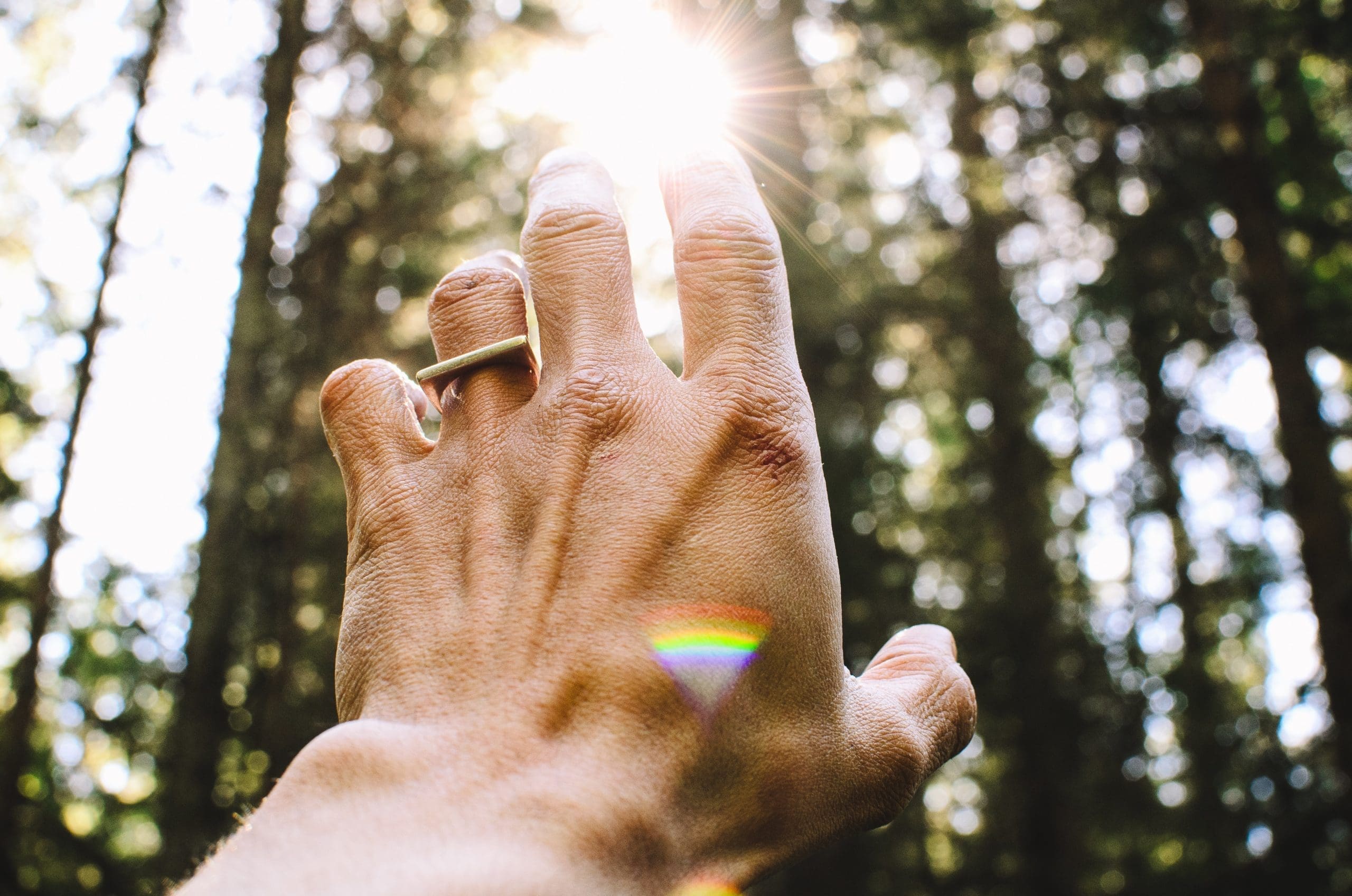 Hand Reaching Toward Light