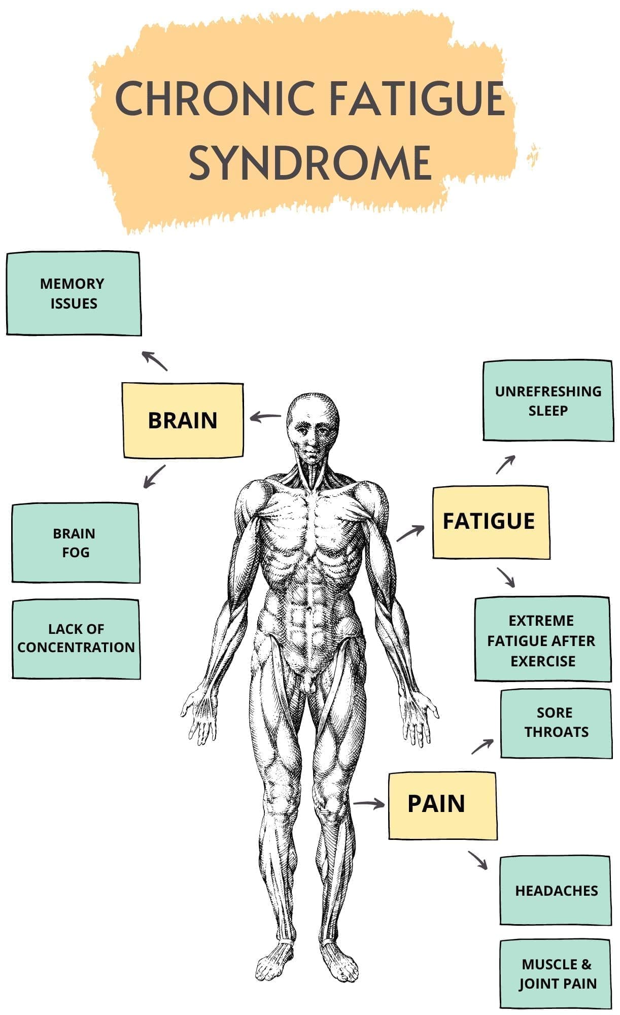 Chronic Fatigue Syndrome Graphic
