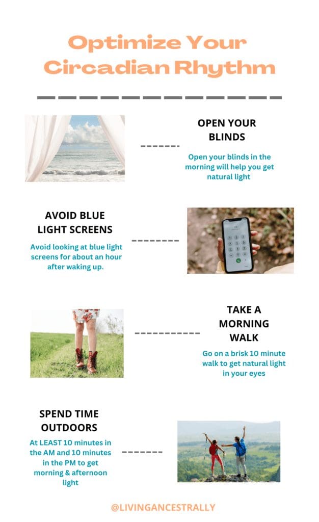 Optimizing Your Circadian Rhythm For Better Energy