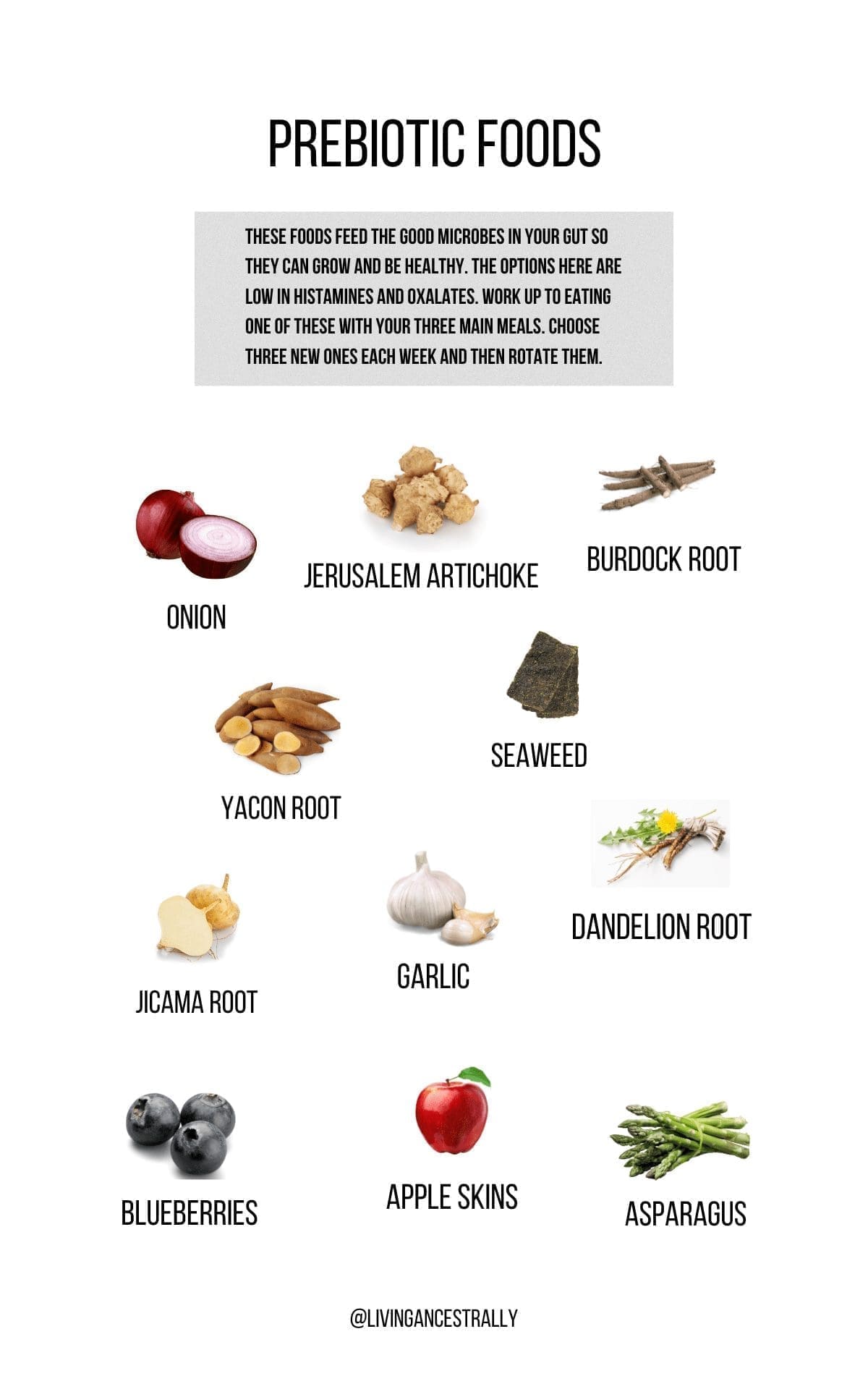 Prebiotic Foods For Gut Health