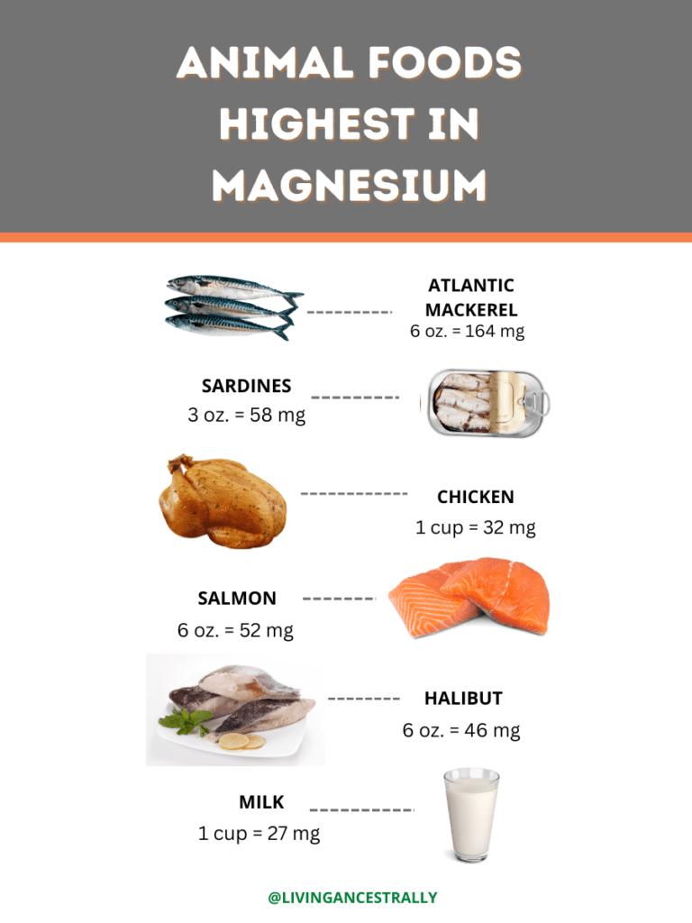 Animal Foods Highest in Magnesium