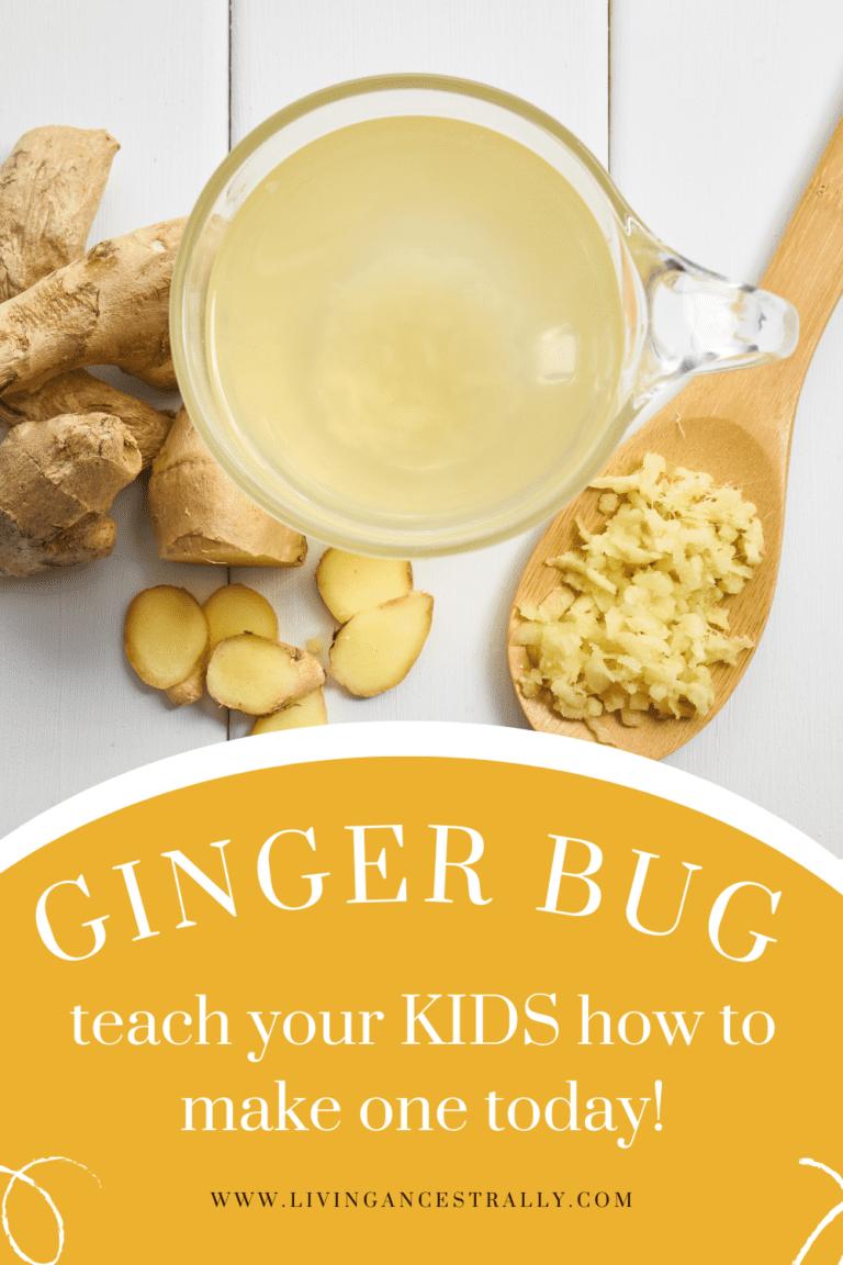 Teach Kids How to Make a Ginger Bug!